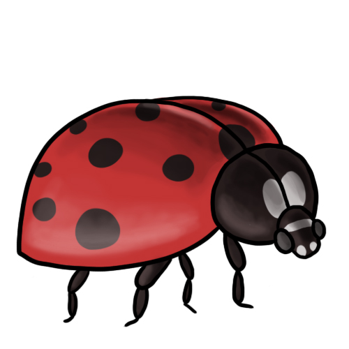 Ladybug Clip Art 7 U0026middot; Ladybug -Ladybug Clip Art 7 u0026middot; Ladybug Clip Art 8-10