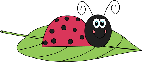 Ladybug On A Leaf-Ladybug on a Leaf-13