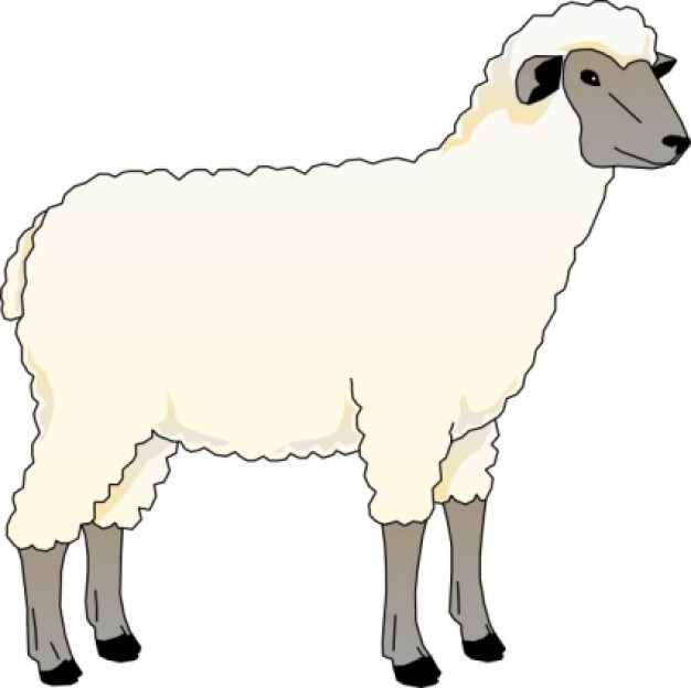 Lamb Clipart Clipart-Lamb clipart clipart-6