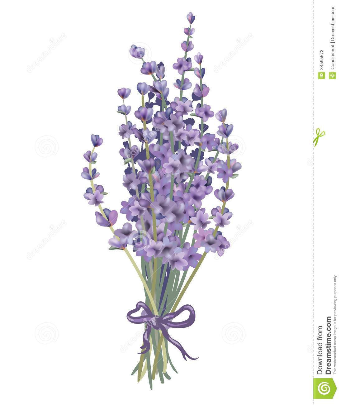 Lavender Bouquet Clipart-Lavender Bouquet Clipart-3