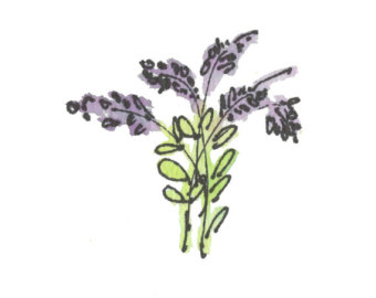 LAVENDER..Clipart / Digital Download / H-LAVENDER..Clipart / Digital Download / Hi Resolution of Original Watercolor . 8u0026quot;x10u0026quot; Great for a multitude of applications.-6