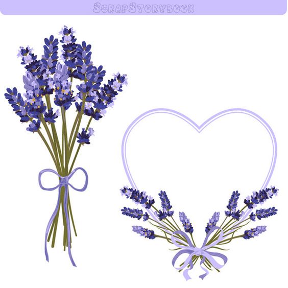 Lavender Flower Frame And Clipart 300 Dp-Lavender Flower Frame and Clipart 300 dpi PNG by Scrapstorybook-13