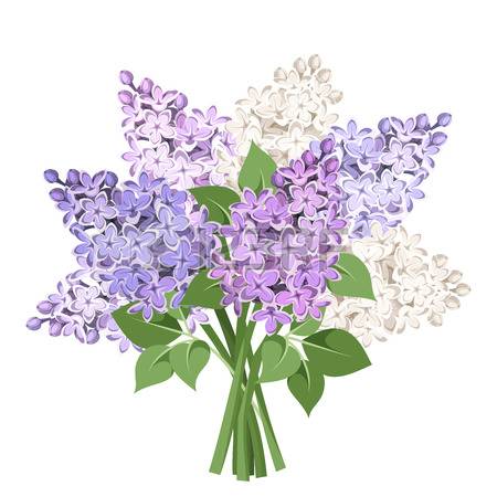Bouquet Of Purple And White Lilac Flower-Bouquet of purple and white lilac flowers. Vector illustration.-2