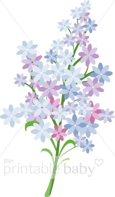 Lilac Bloom Clip Art-Lilac Bloom Clip Art-8