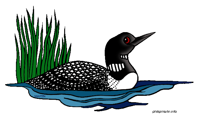 Loon Clipart-loon clipart-10