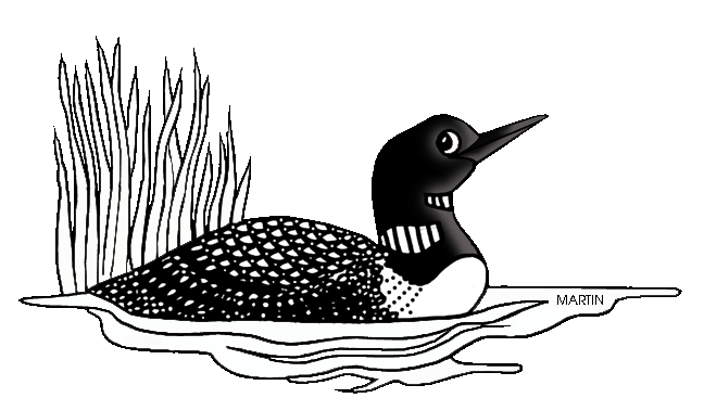 Minnesota State Bird - Loon-Minnesota State Bird - Loon-17