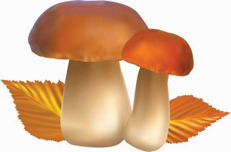 Free Mushrooms Clipart Png Download-Free mushrooms clipart png download-4