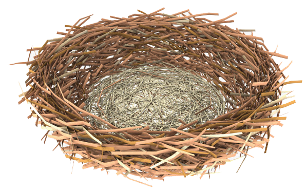 Nest Png Clipart-nest png clipart-15