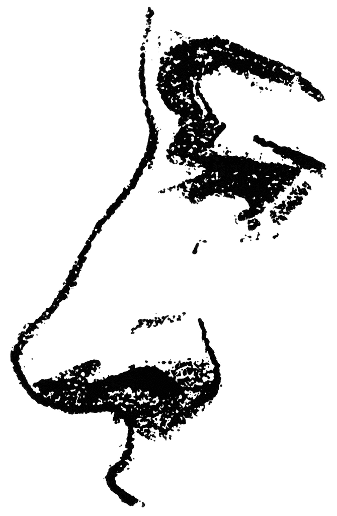 Nose Clipart Etc-Nose Clipart Etc-15