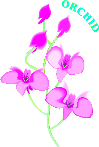 Orchid Flower Clip Art-Orchid Flower Clip Art-10