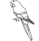 Parrot Clipart-parrot clipart-8