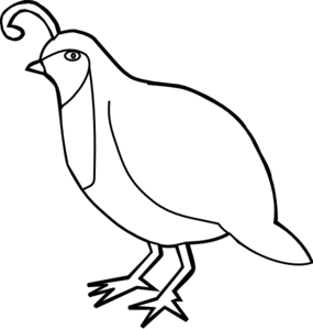 Partridge Clip Art-Partridge Clip Art-6