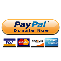 Paypal Donate Button High-Quality Png PN-Paypal Donate Button High-Quality Png PNG Image-17