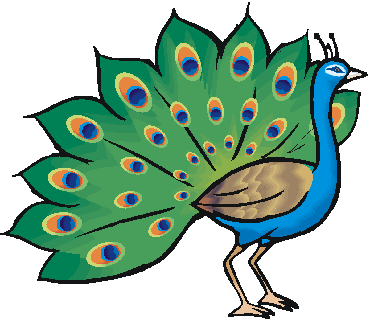 Peacock Clipart Free-peacock clipart free-4