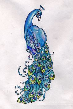 Peacock Clip Art | Free .-peacock clip art | Free .-7