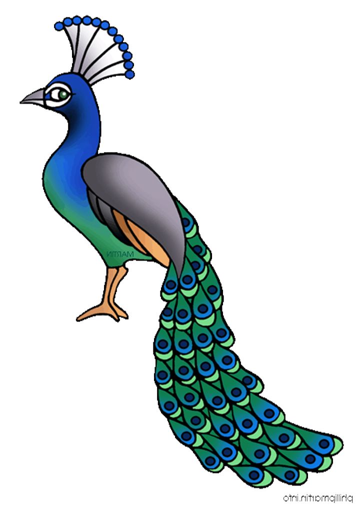 Peacock Clipart Free Clipart Images 3-Peacock clipart free clipart images 3-8