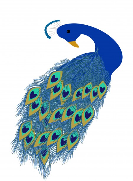 Peacock Clipart-Peacock Clipart-10