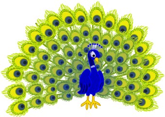 Peacock-peacock-15