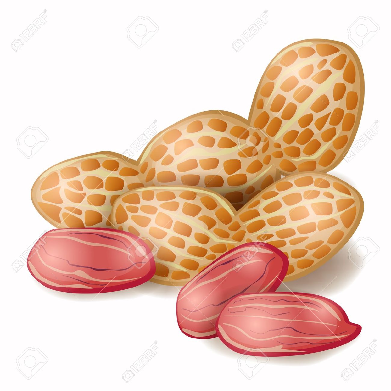 97+ Peanut Clipart. Pea... Peanuts Clip Art ClipartLook