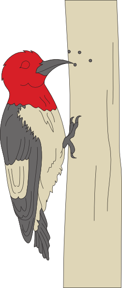 Pecking Woodpecker Svg-Pecking Woodpecker svg-3