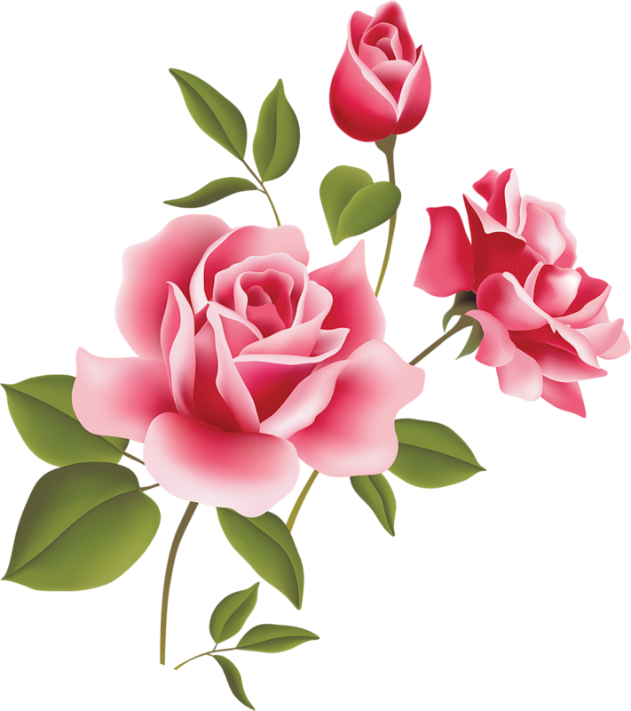 Pink Rose Clip Art 7takyynqc Png-Pink Rose Clip Art 7takyynqc Png-8