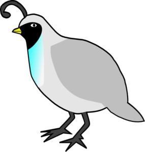 Quail Clipart Black And White-quail clipart black and white-7