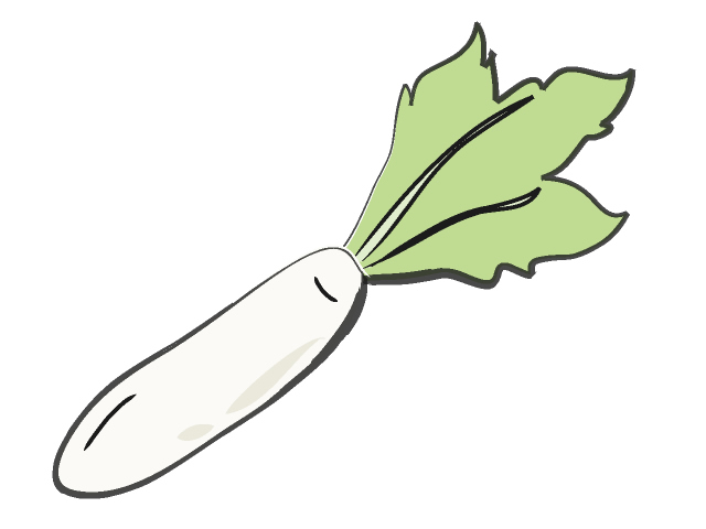 Radish Clipart-radish clipart-8