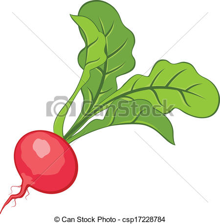 ... Radish-... Radish-13