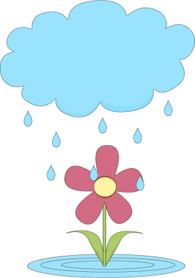 Rain Cloud Over A Flower-Rain Cloud Over a Flower-11