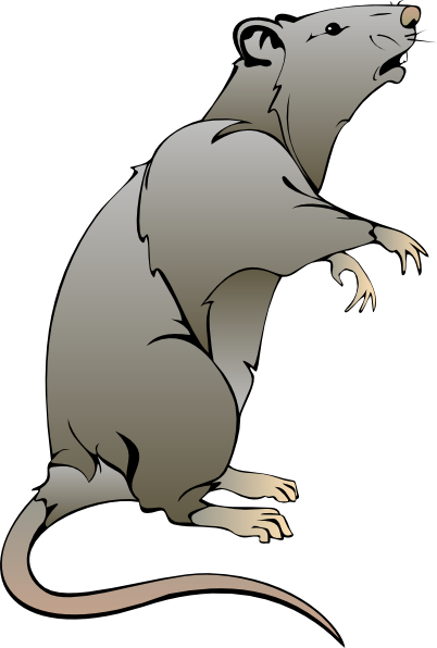 Rat Clipart-rat clipart-10