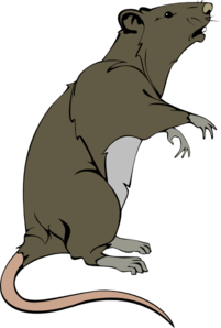 Rat Clipart Black And White Clipart Pand-Rat Clipart Black And White Clipart Panda Free Clipart Images-11