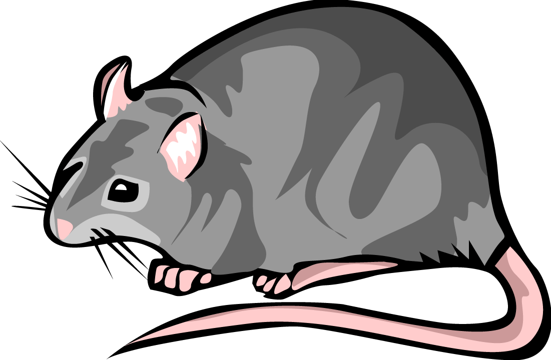 Rat Clipart-Rat Clipart-12
