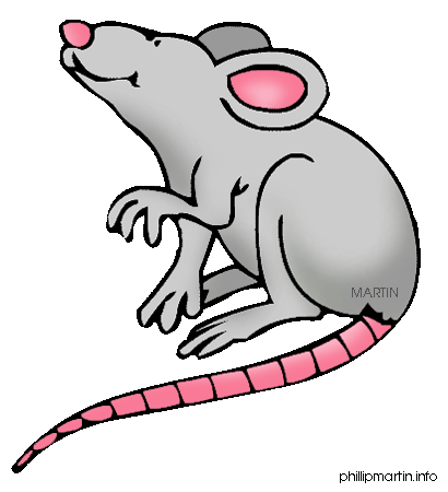 Rat Clipart-Rat Clipart-13