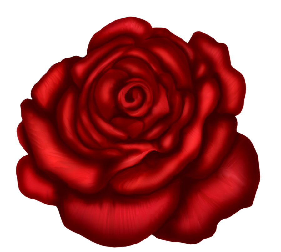 Red Rose Art Picture-Red Rose Art Picture-7