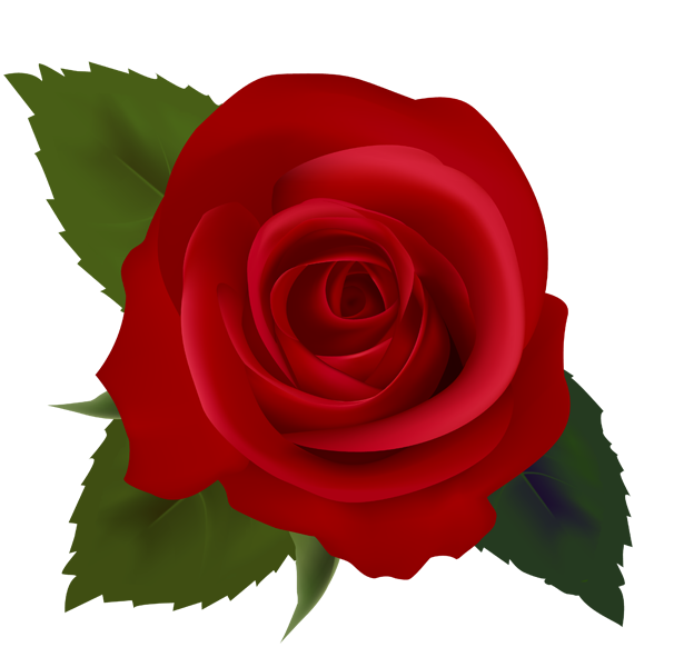 Red Rose Clip Art-Red Rose Clip Art-13