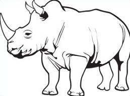 Rhinoceros-Rhinoceros-16