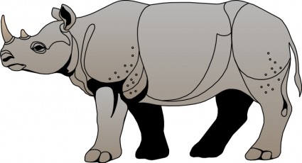 Rhinoceros-Rhinoceros-17