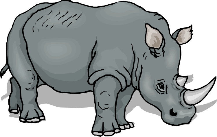 Rhinoceros-Rhinoceros-18