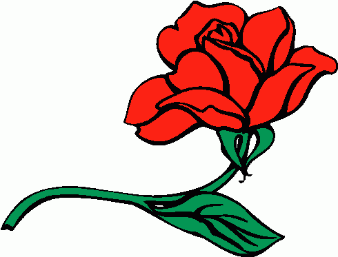 Rose Clip Art-rose clip art-11