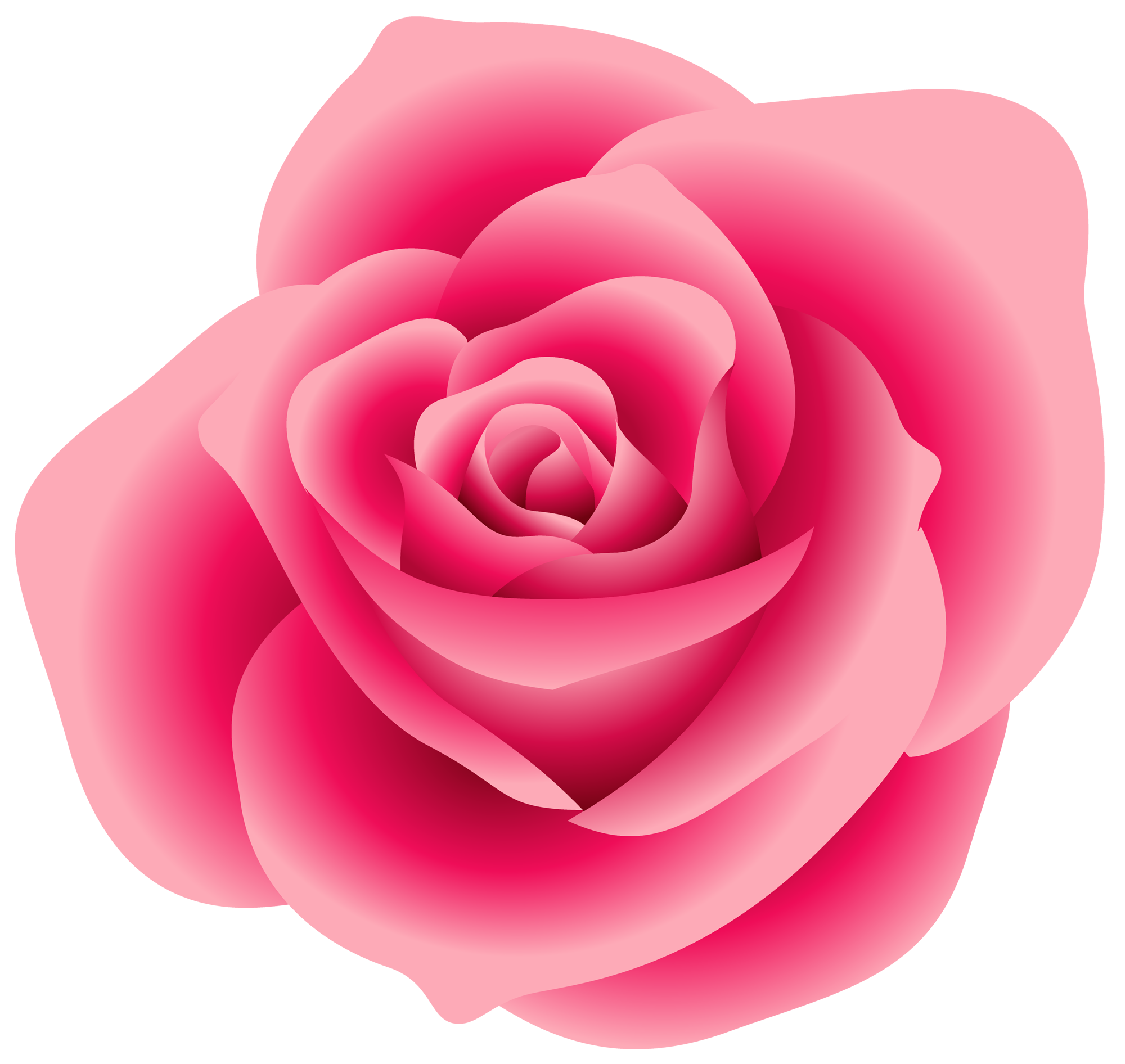 Rose Clipart-rose clipart-13