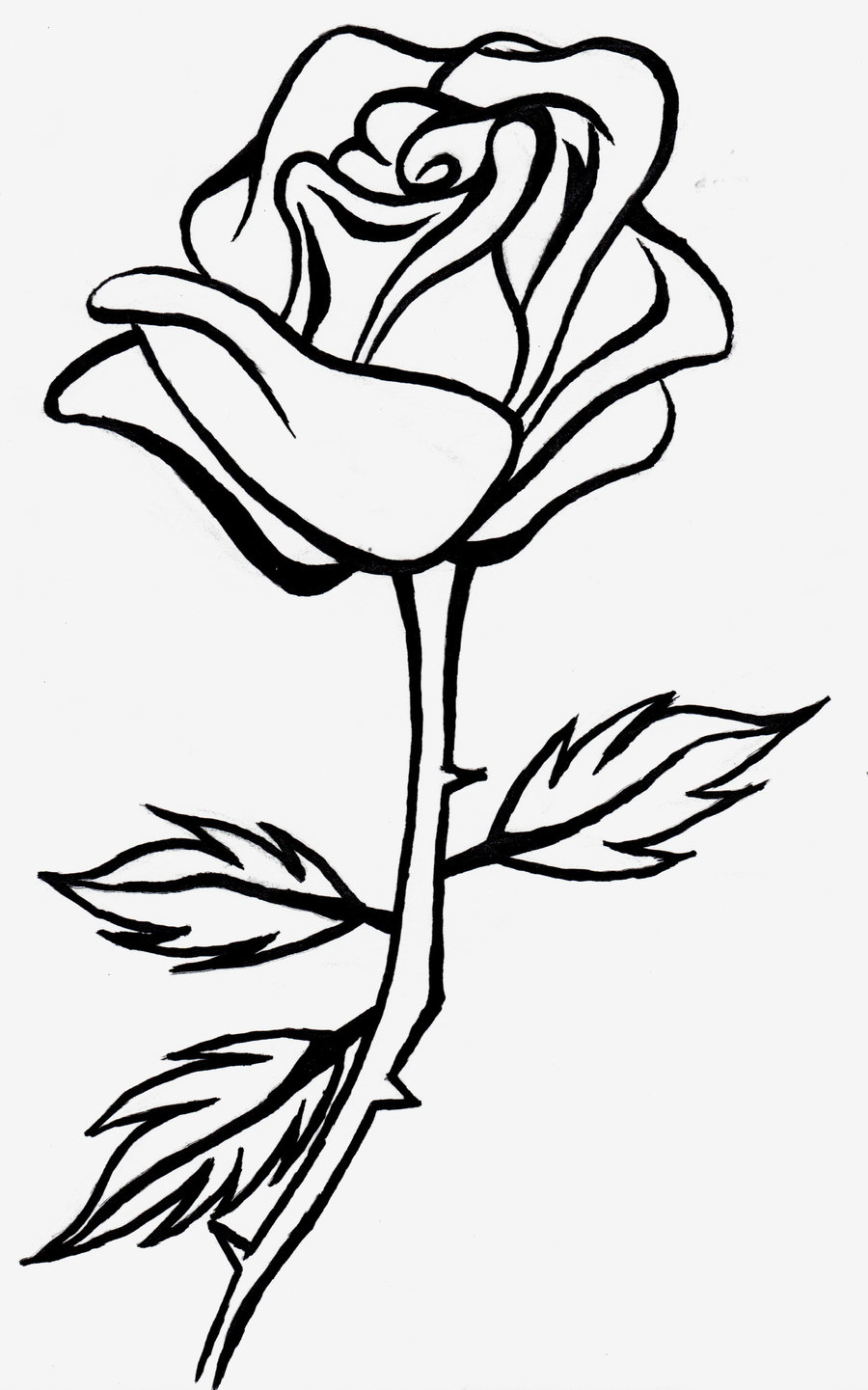 Rose Black And White Free .-Rose black and white free .-14