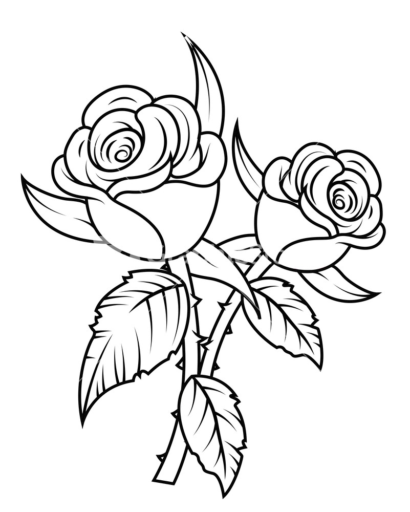 Rose Black And White Rose Flowers Clipar-Rose black and white rose flowers clipart black and white-13