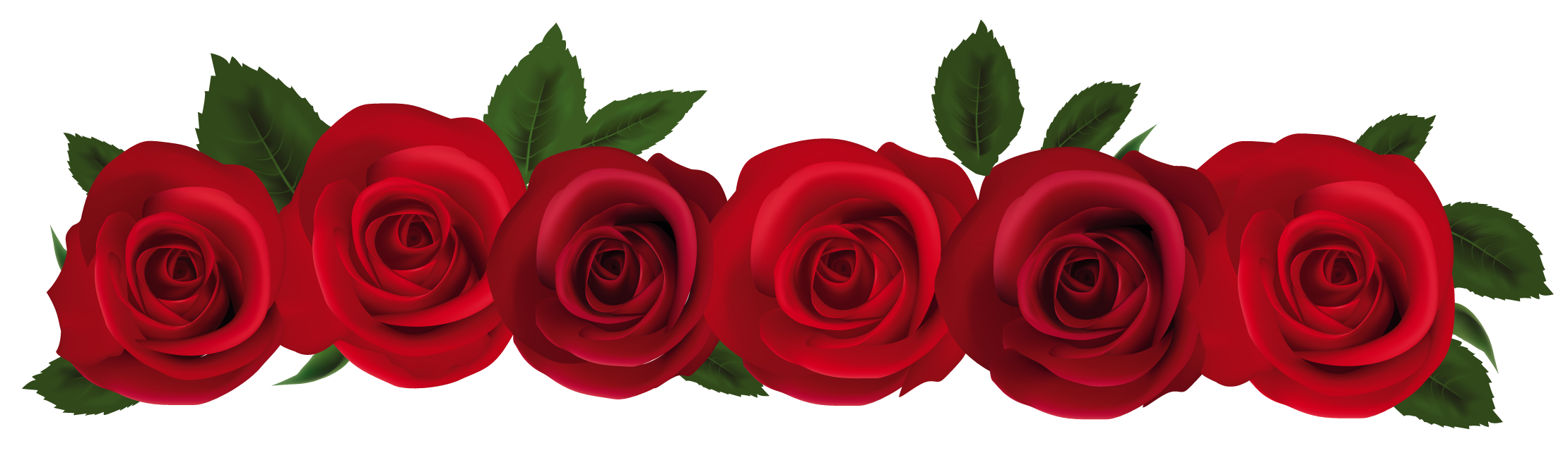 Rose Clip Art Border 9tpbdbj8c Png-Rose Clip Art Border 9tpbdbj8c Png-10