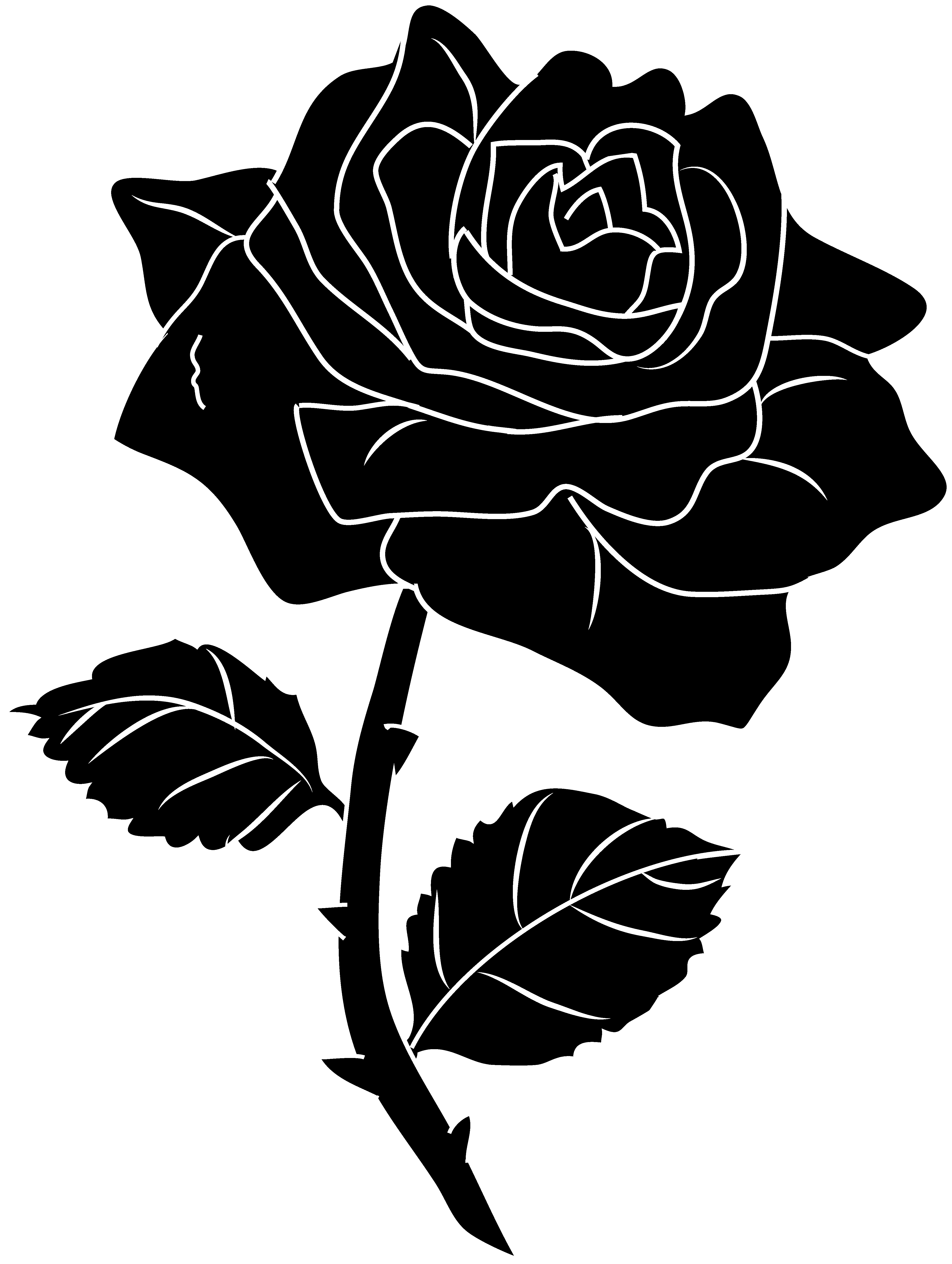Rose Clipart Black And White-rose clipart black and white-18