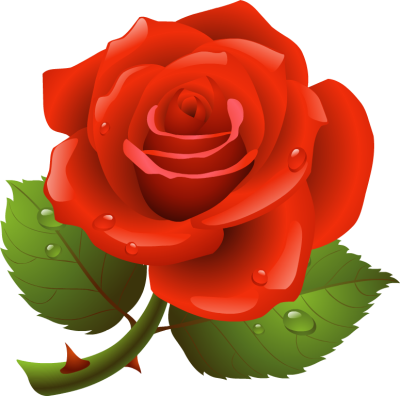 Rose Clipart U0026middot; Wrinkle Clipar-Rose Clipart u0026middot; wrinkle clipart-12