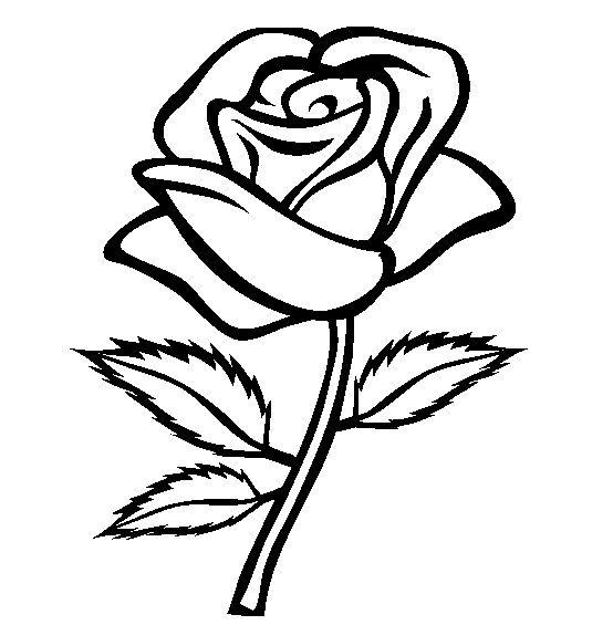 Roses Clipart Free Rose Image. A9c367430-Roses Clipart Free Rose Image. a9c367430568fa5b4852000420129b .-15