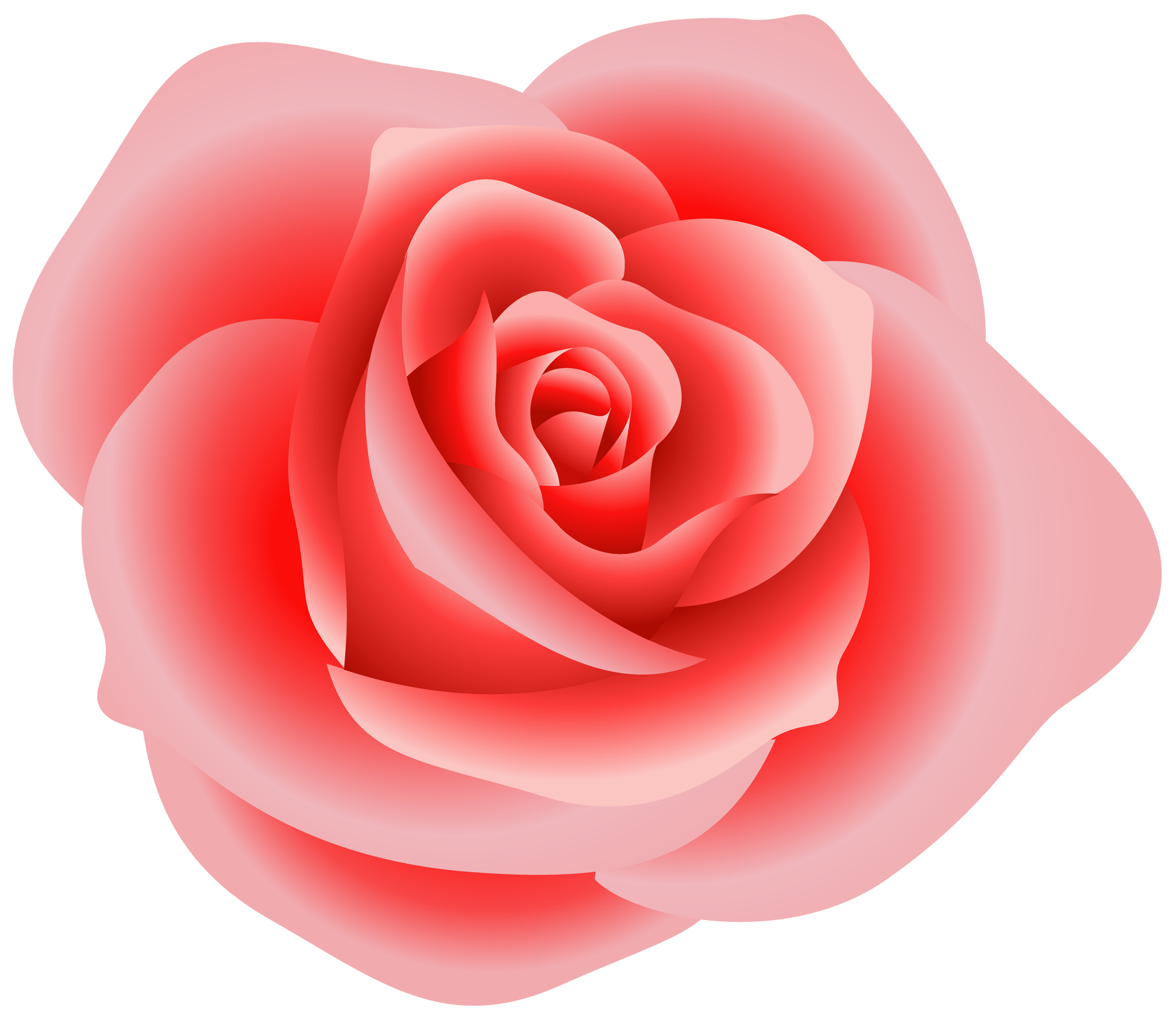 Roses Rose Clip Art Vector Images-Roses rose clip art vector images-17