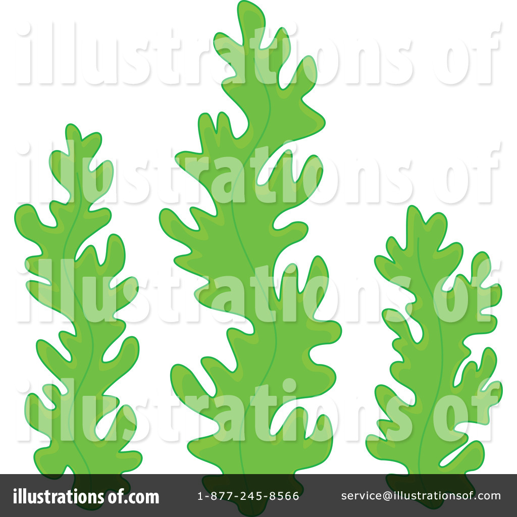Royalty-Free (RF) Seaweed Clipart Illust-Royalty-Free (RF) Seaweed Clipart Illustration #1193391 by Alex Bannykh-2