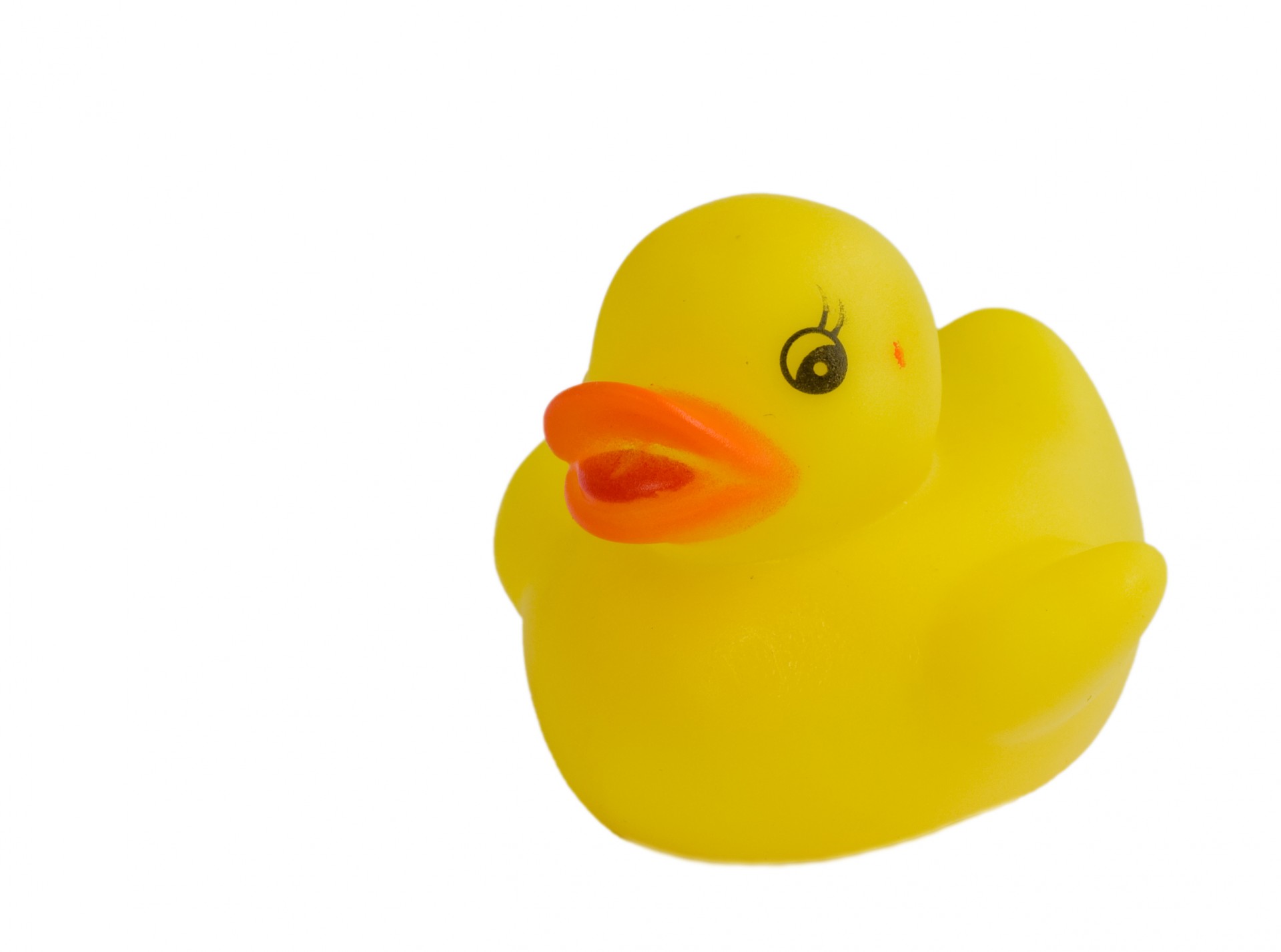 Rubber Duck Yellow Clipart-Rubber Duck Yellow Clipart-14