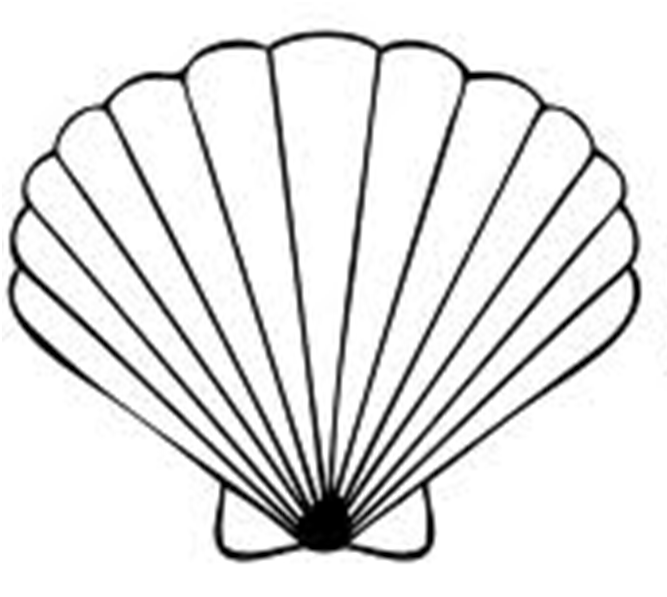 Seashell Clipart Black And White Free Cl-Seashell clipart black and white free clipart images 2-15